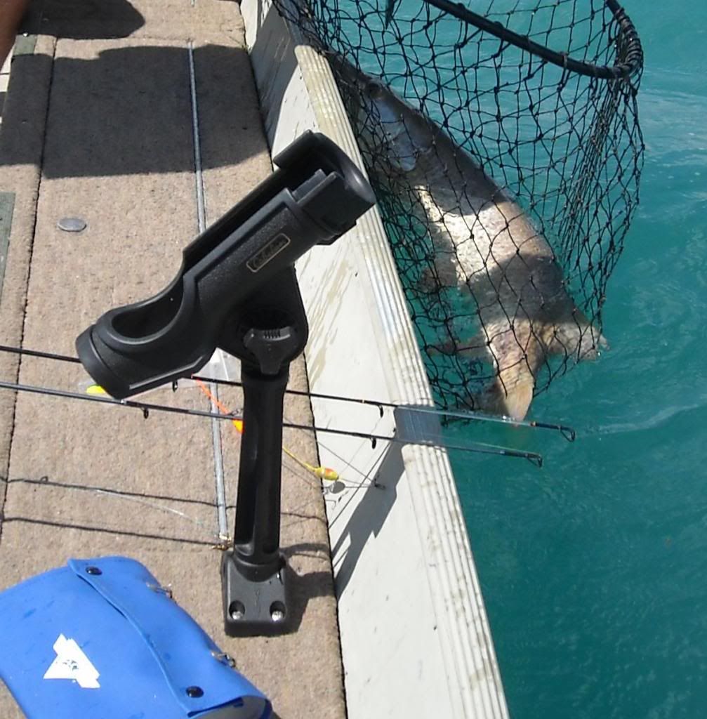 Lund Fury 1600 SS rod holders Boating Forum iboats Boating Forums